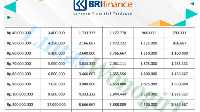 KUR BRI Februari 2025 Gunung Mas