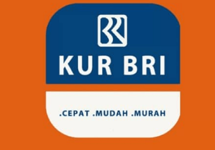 KUR BRI Februari 2025 Barito Kuala