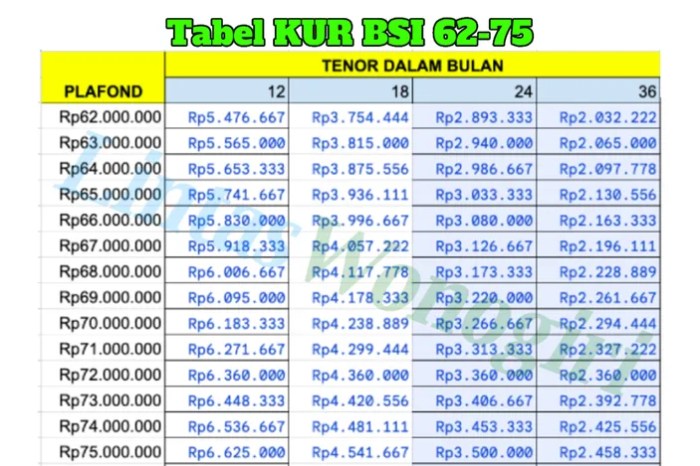 KUR BSI Februari 2025 Sungai Penuh