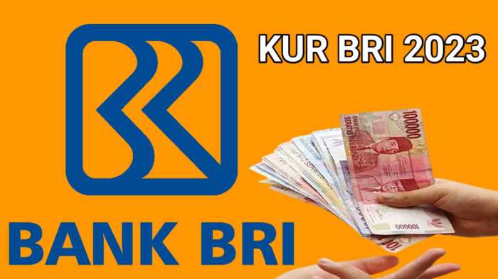 KUR BRI Februari 2025 Barito Kuala