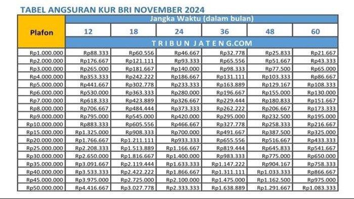 KUR BRI Februari 2025 Kepulauan Selayar