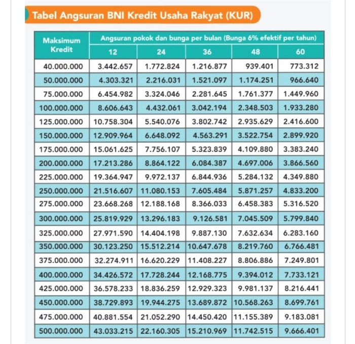 KUR BNI Februari 2025 Kapuas