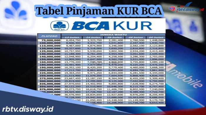 KUR BCA Februari 2025 Hulu Sungai Utara