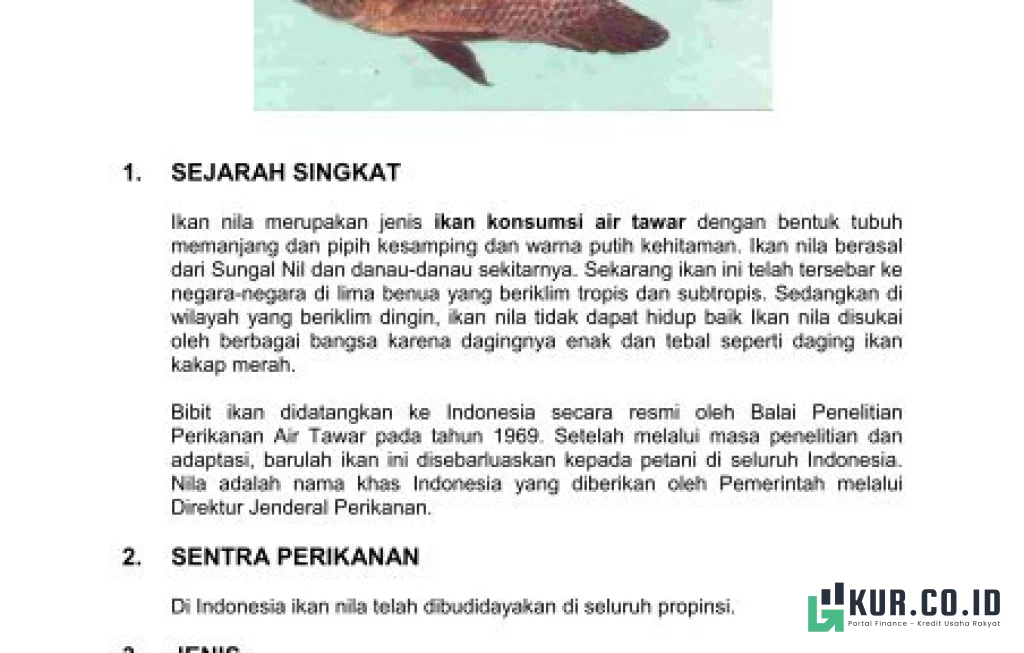 cara membesarkan burayak ikan