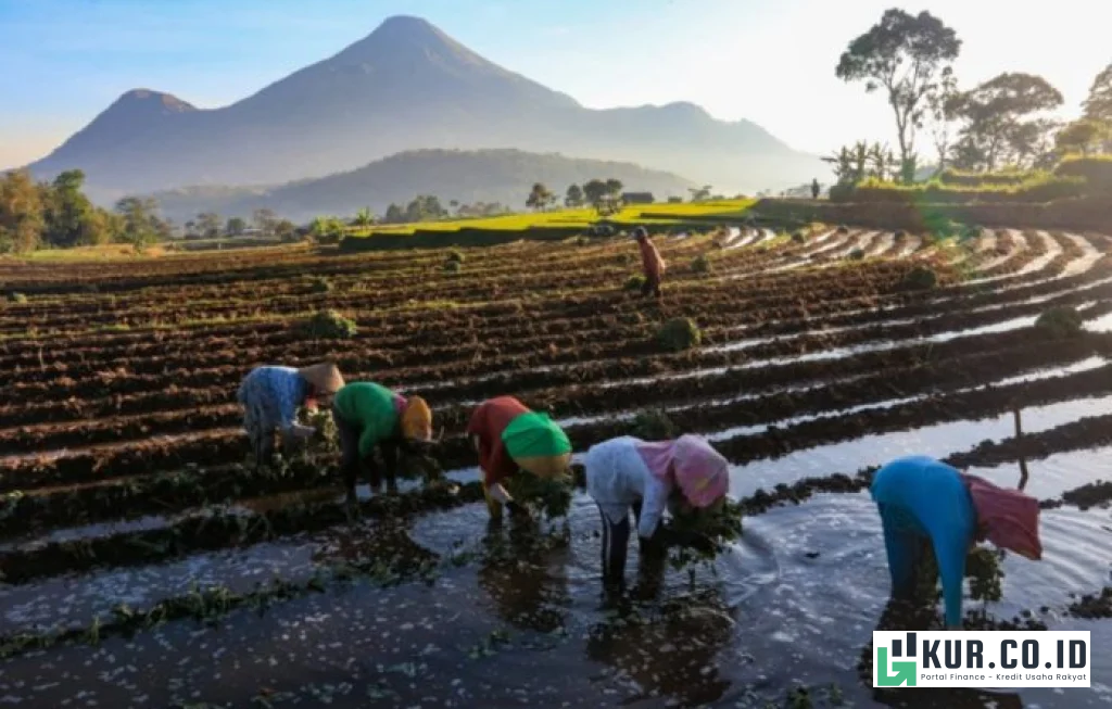 KUR BRI Gerakkan Ekonomi Rakyat
