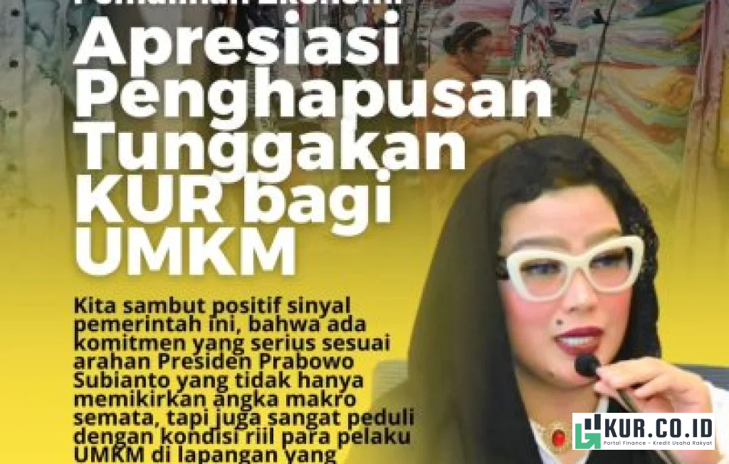 KUR UMKM Arahan Prabowo