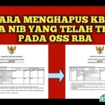cara menghapus data usaha oss rba