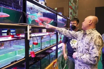 Bisnis Ikan Hias Makin Menggoda, Hobi Akuarium Bisa Jadi Sumber Cuan