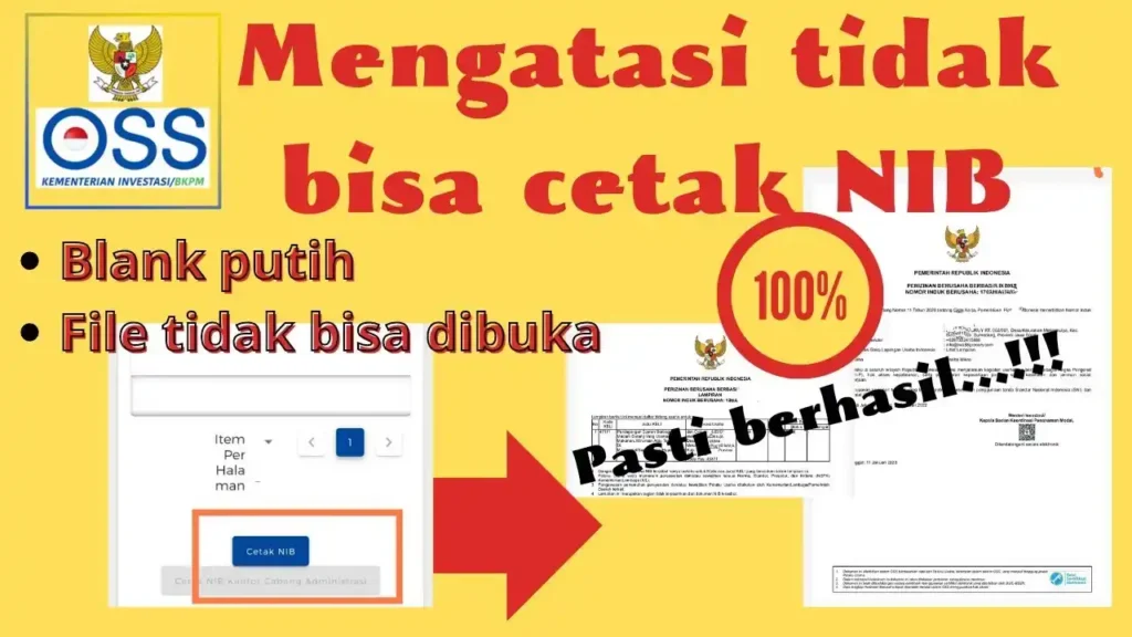 Cara Mengatasi NIB Tidak Terbit di OSS, Nomor Langsung Keluar!