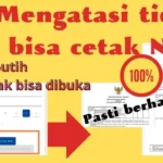 Cara Mengatasi NIB Tidak Terbit di OSS, Nomor Langsung Keluar!