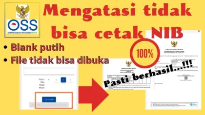 Cara Mengatasi NIB Tidak Terbit di OSS, Nomor Langsung Keluar!